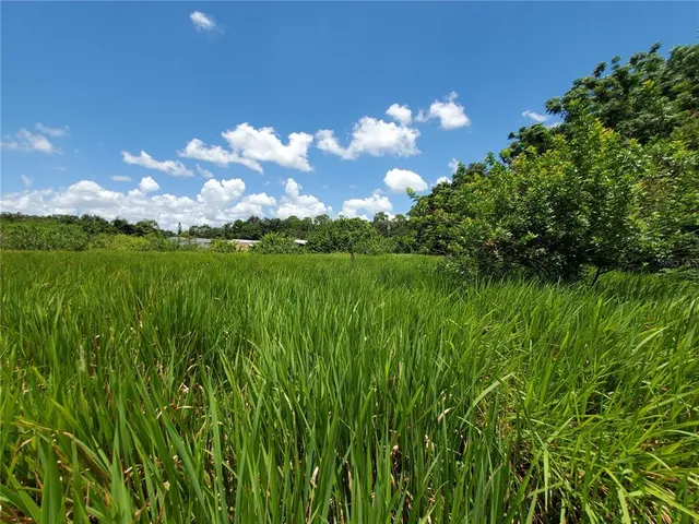 $175,000 | Woodland Avenue, Lakeland, FL 33801