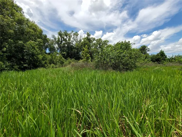 $175,000 | Woodland Avenue, Lakeland, FL 33801