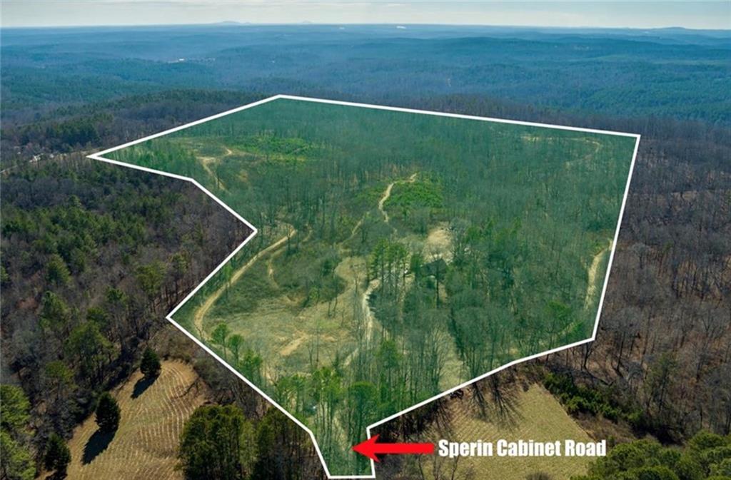 170 Sperin Cabinet Shop Road Ball Ground, GA 30107 - Photo 3 of 19