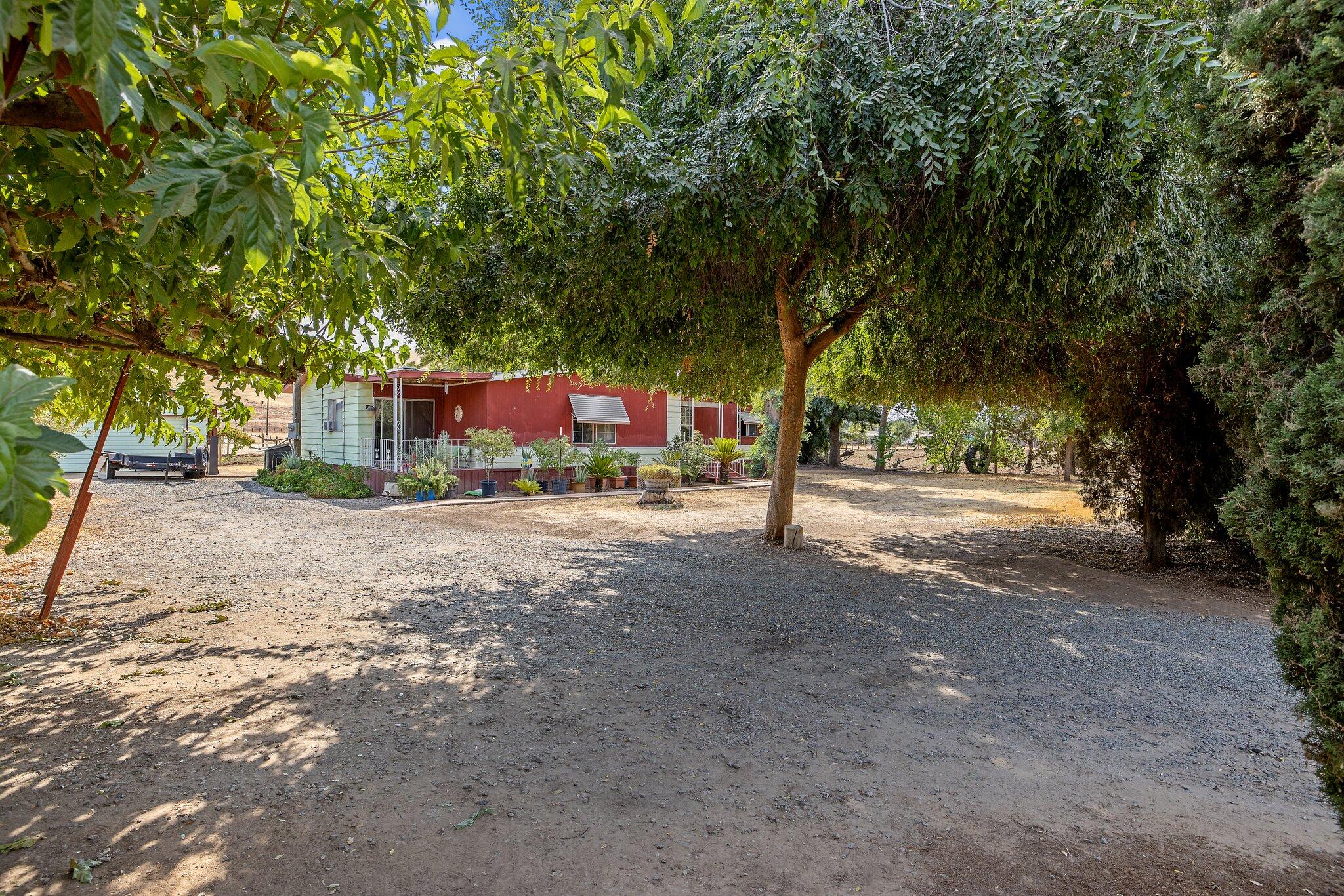 646 South Spruce Road Exeter, CA 93221 - Photo 11 of 67 29-web-or-mls-713A8405