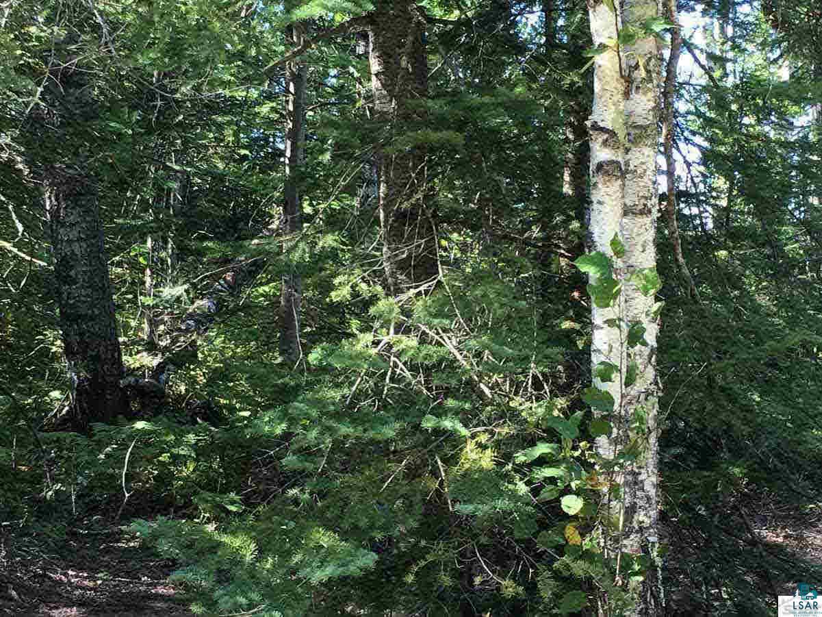 26745 McCutcheon Road Bayfield, WI 54814 - Photo 13 of 22 Gallery Image 13