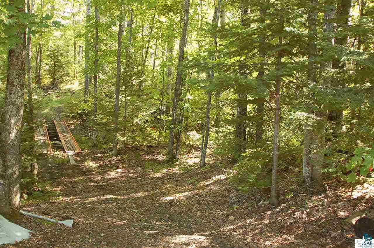 26745 McCutcheon Road Bayfield, WI 54814 - Photo 8 of 22 Gallery Image 8