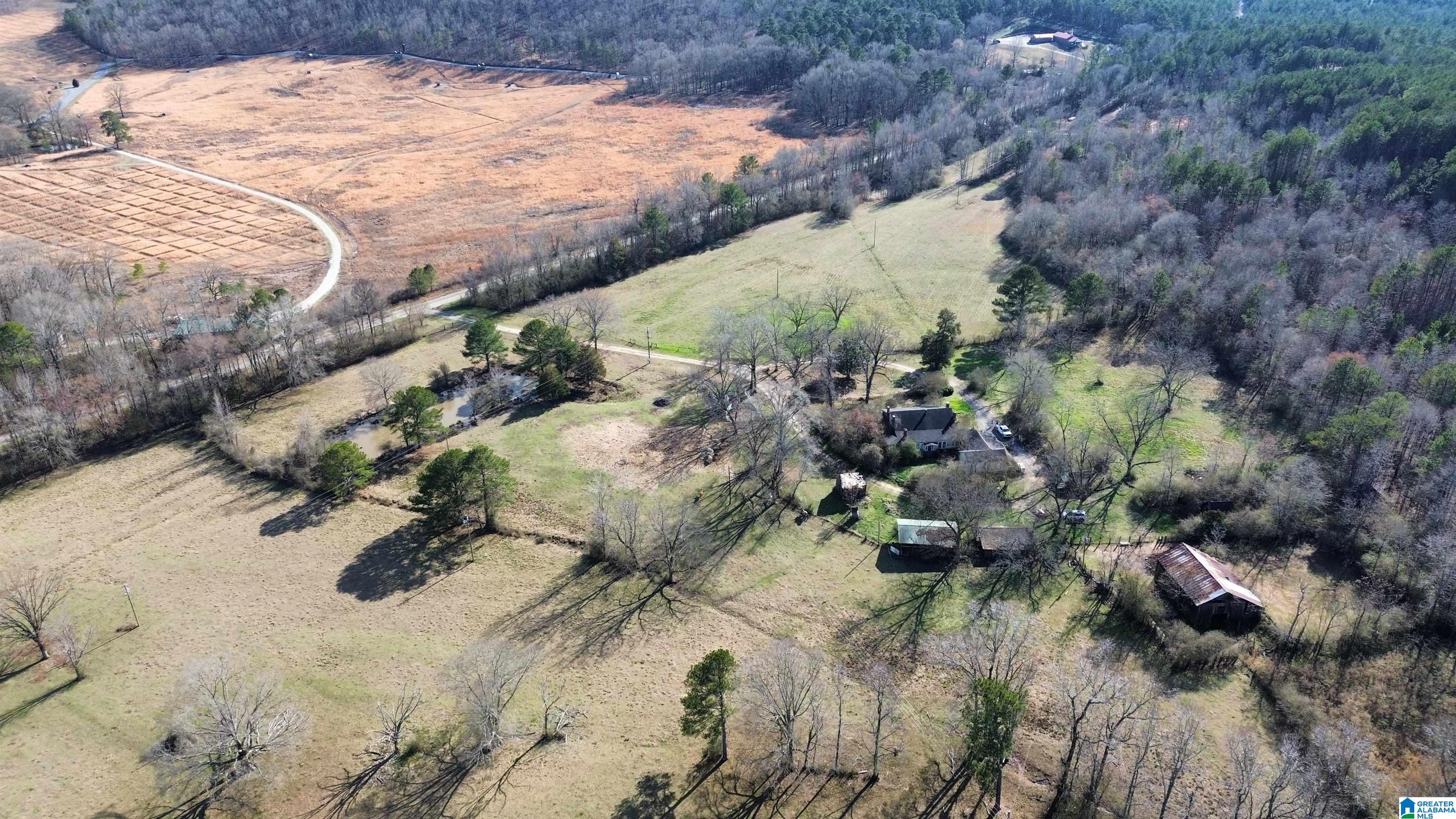 1322 Talladega Springs Road Sylacauga, AL 35151 - Photo 18 of 22