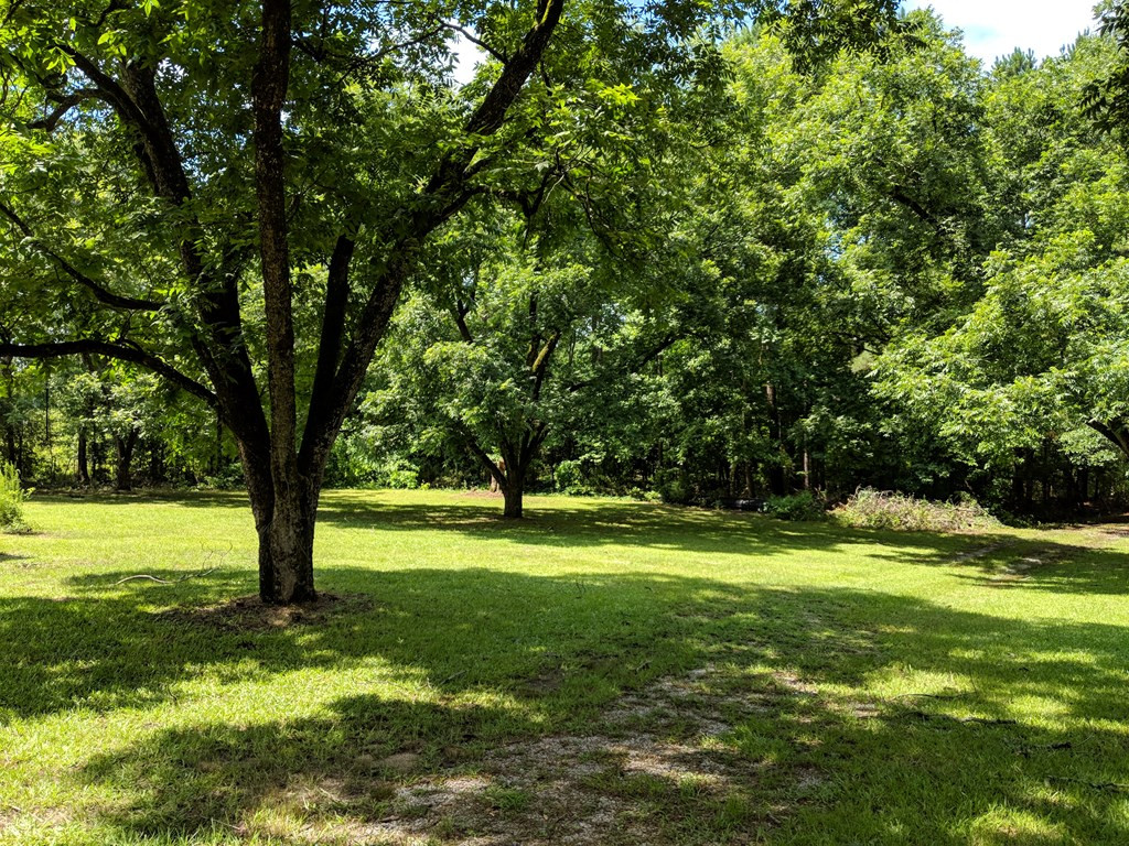 4218 Randall Hunt Road Dearing, GA 30808 - Photo 8 of 29