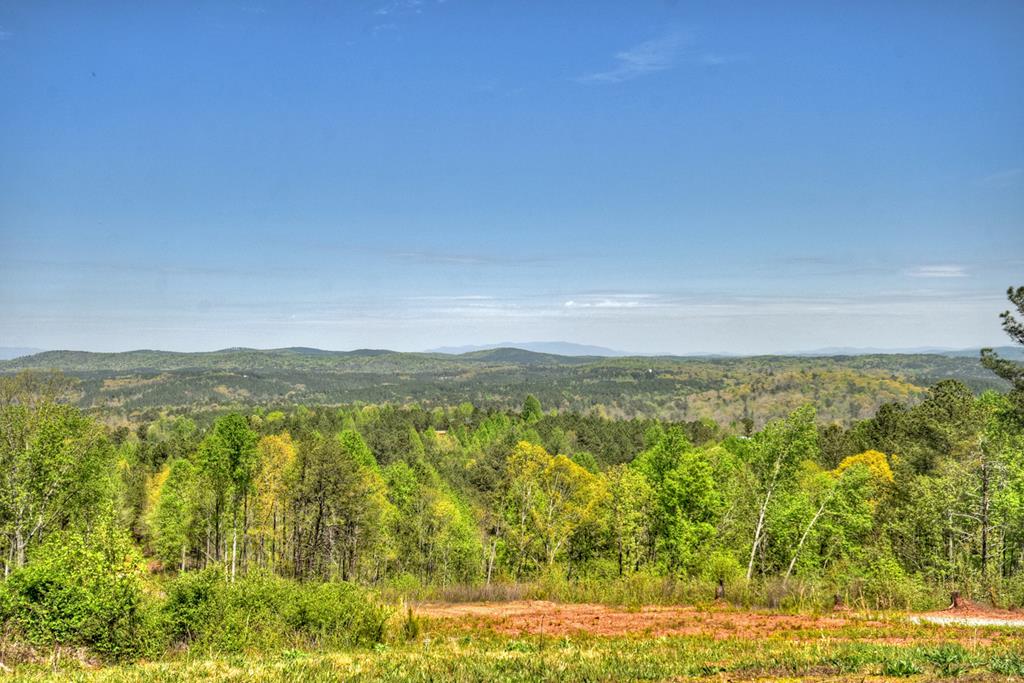 651 Bethel Road Talking Rock, GA 30175 - Photo 60 of 75