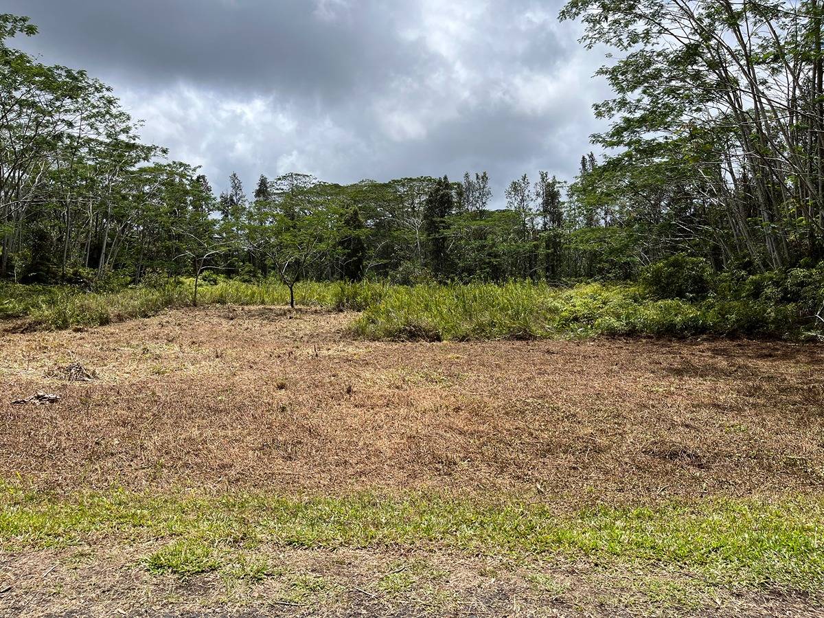 14-3501 Kona Road Pahoa, HI 96778 - Photo 4 of 8 Gallery Image 4