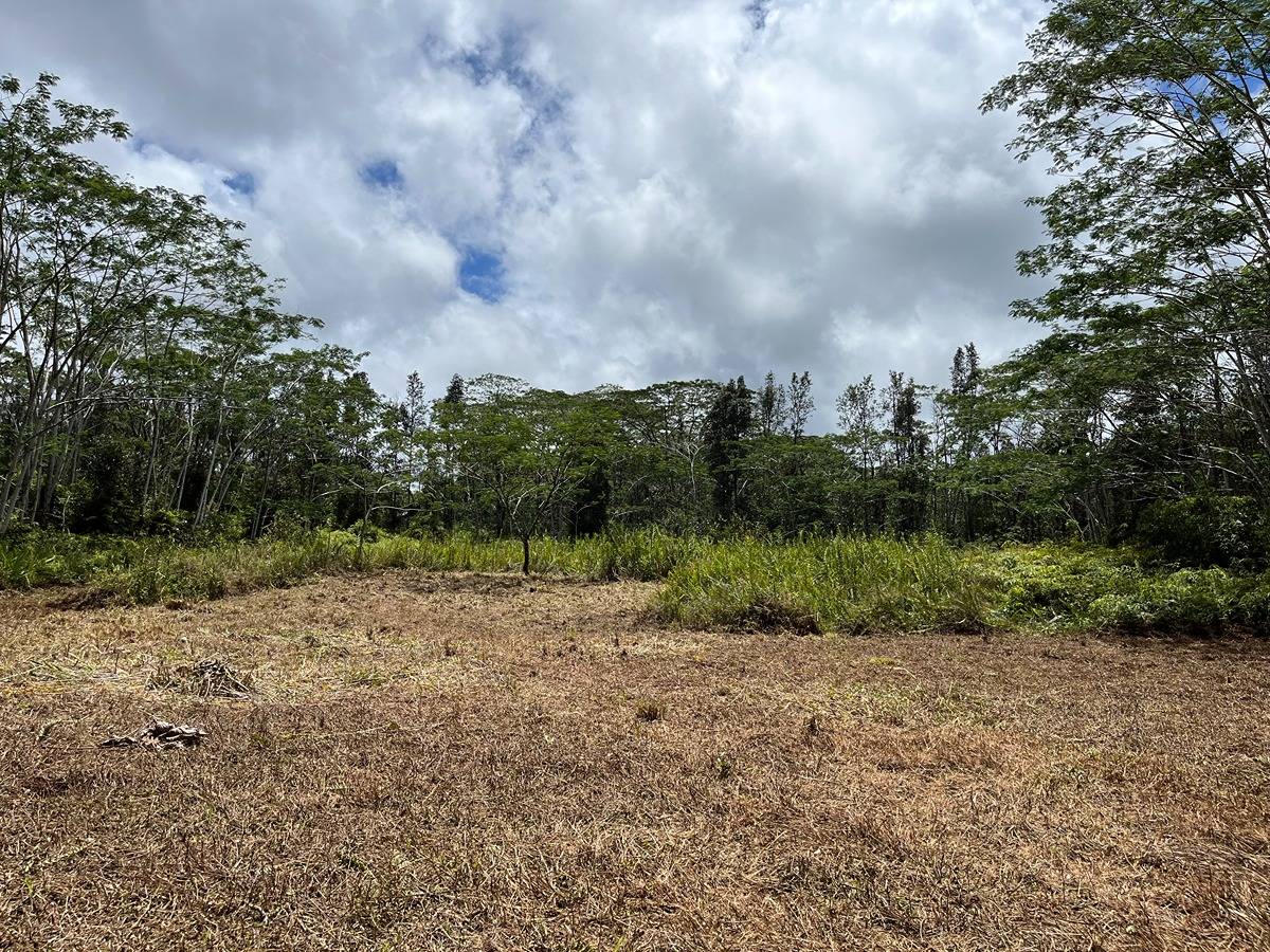 14-3501 Kona Road Pahoa, HI 96778 - Photo 8 of 8 Gallery Image 8
