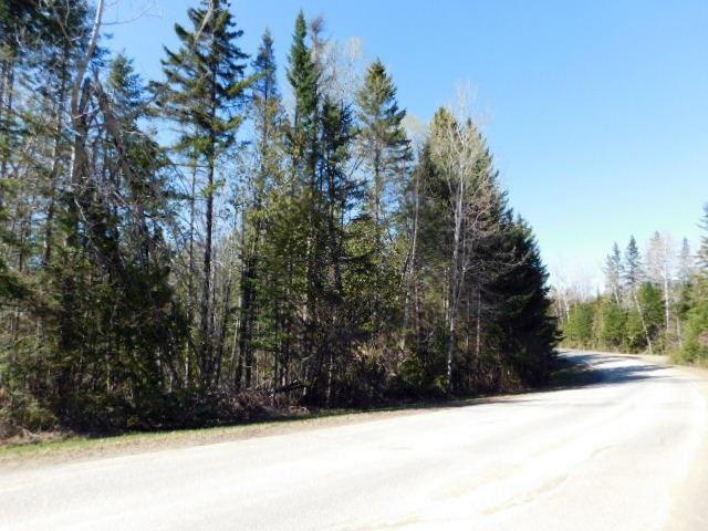 0 East Plantation Road Blaine, ME 04734 - Photo 2 of 13 Photo