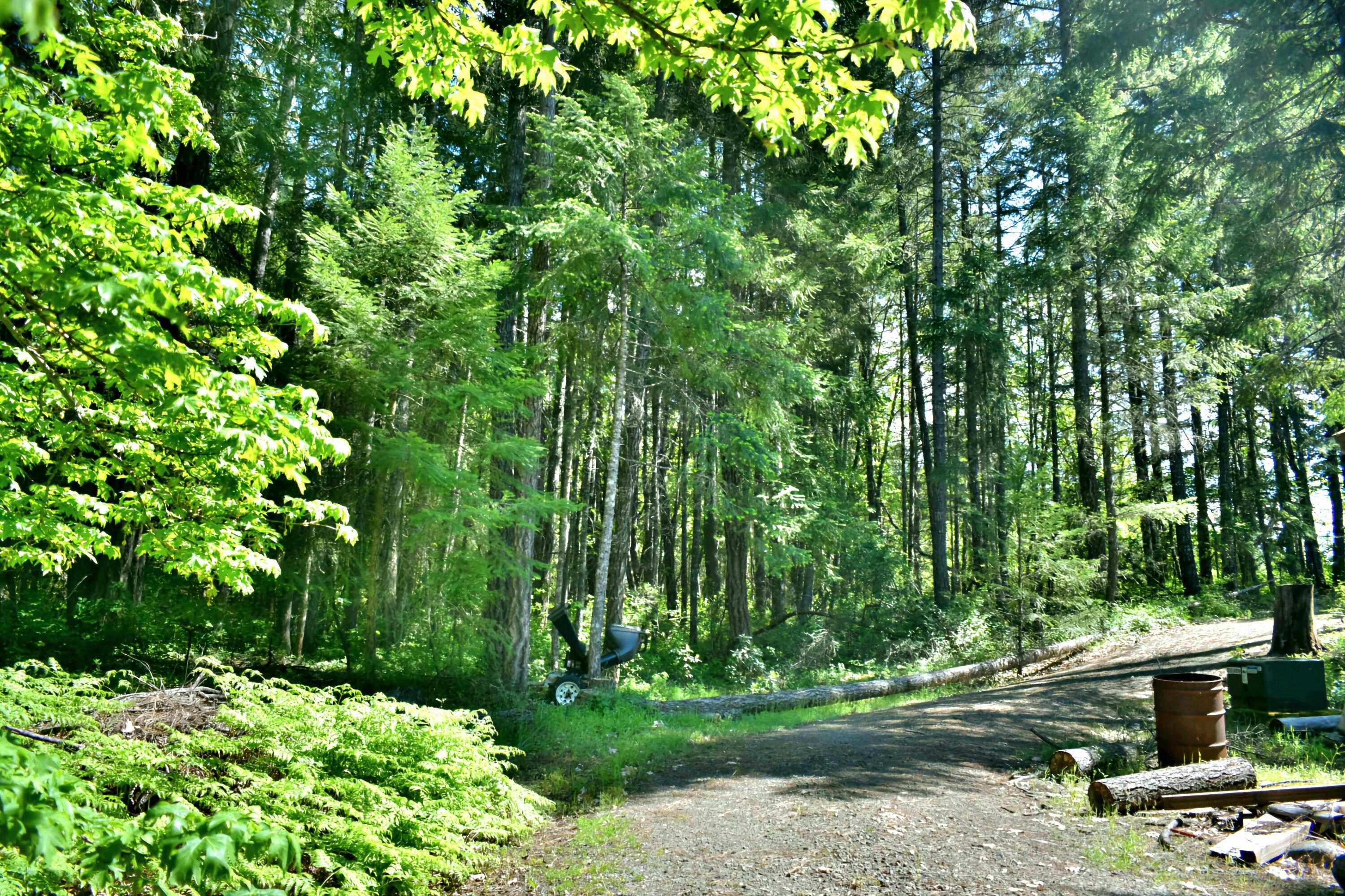 7419 Holland Corner Road Cave Junction, OR 97523 - Photo 45 of 48