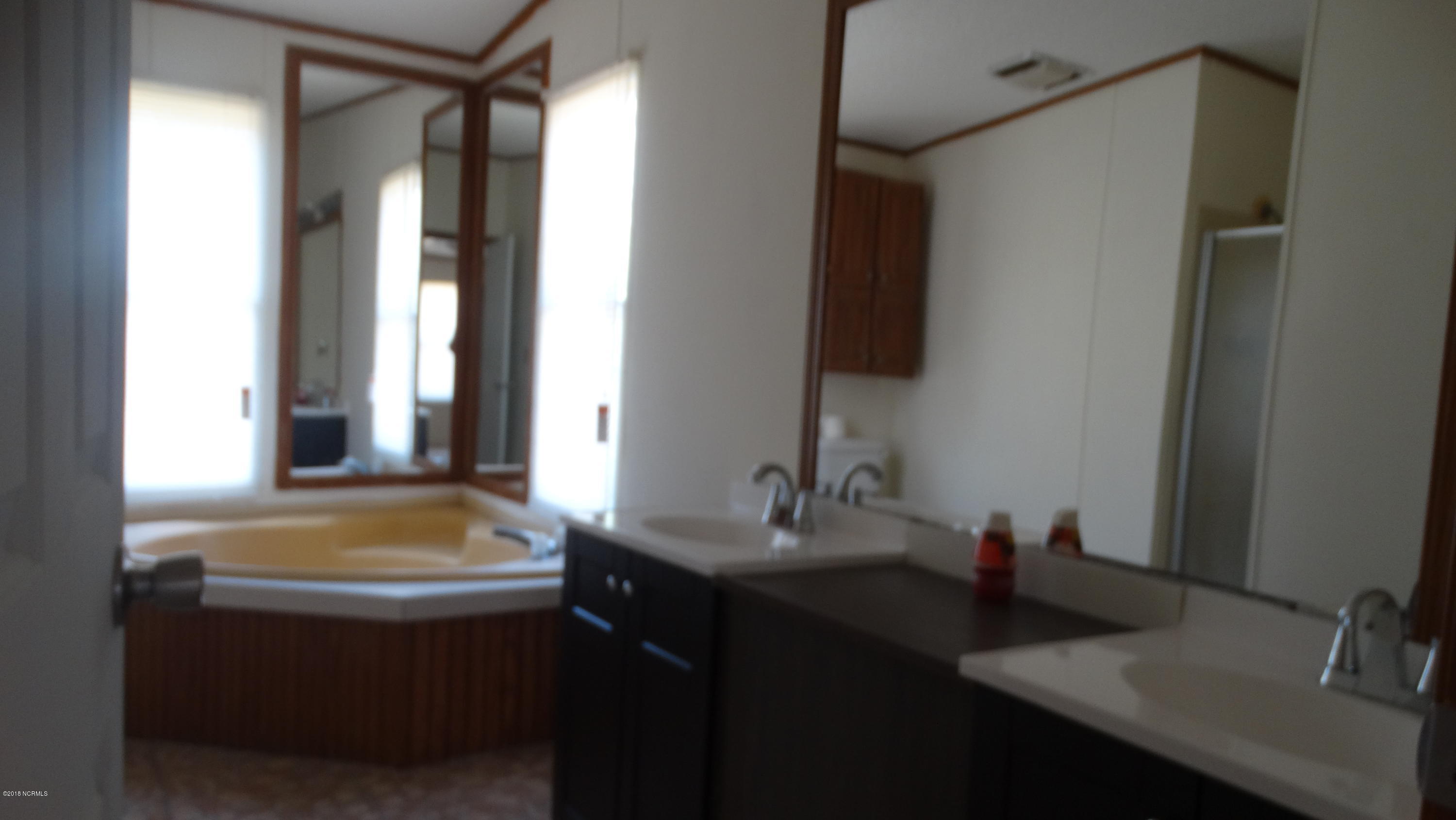 265 Brantham Road Burgaw, NC 28425 - Photo 5 of 18 Master Bath