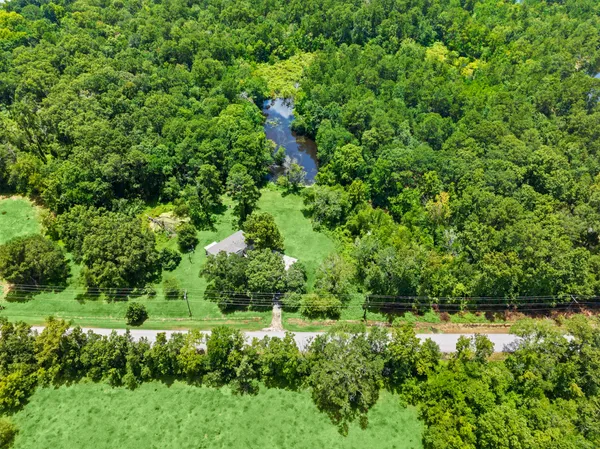 a view of a garden with a tree