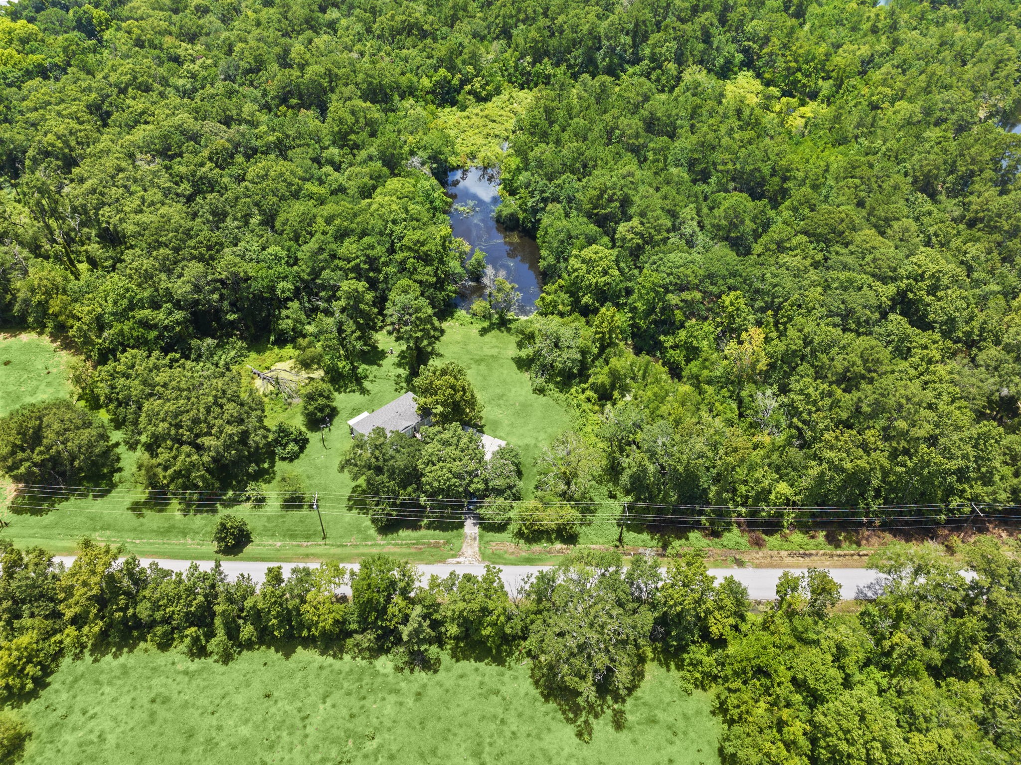 285 County Road 388 Cleveland, TX 77328 - Photo 21 of 23 a view of a garden with a tree