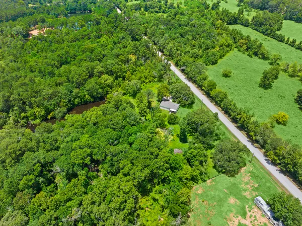 a view of a lush green forest with a lush green forest