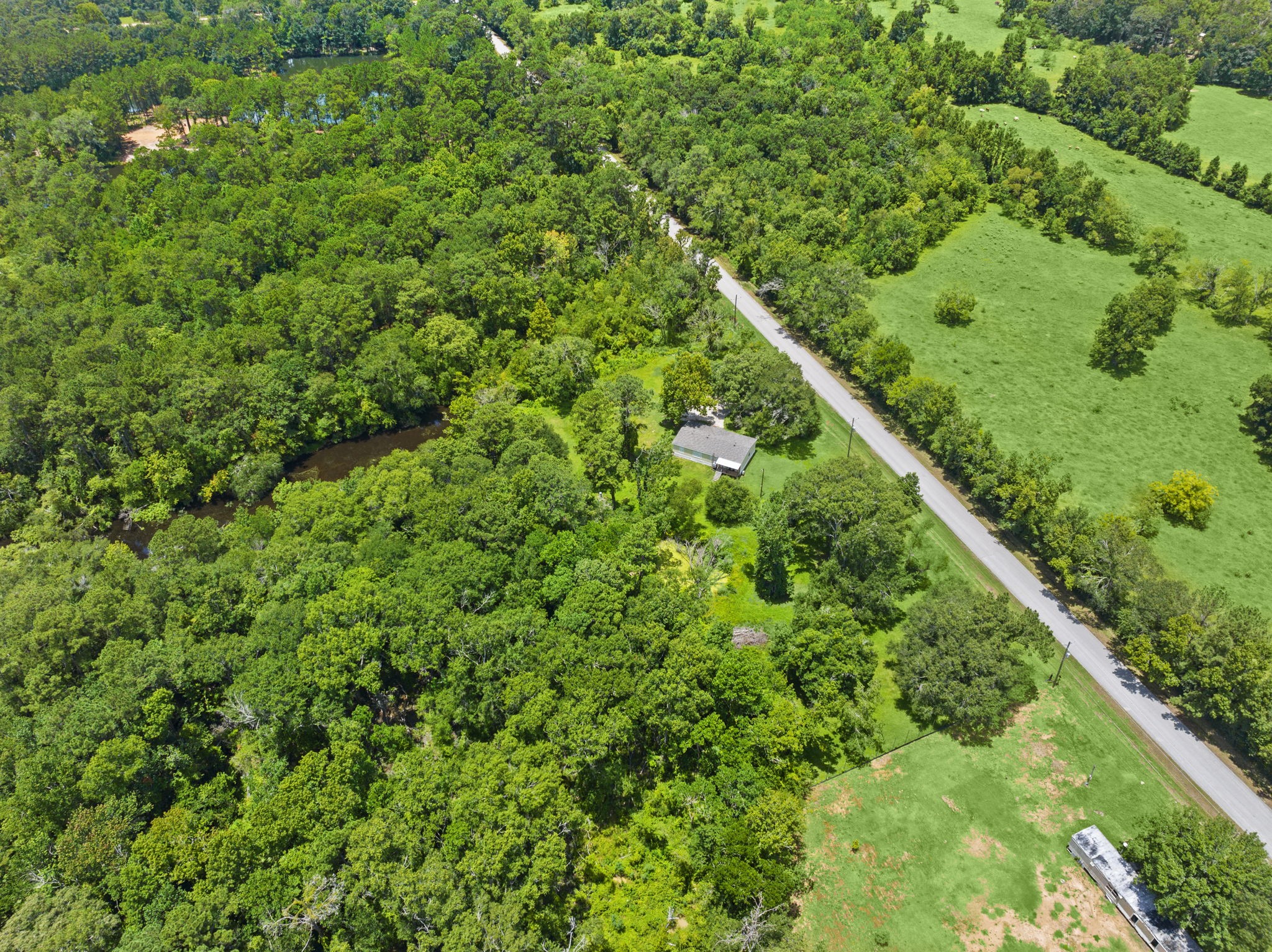 285 County Road 388 Cleveland, TX 77328 - Photo 22 of 23 a view of a lush green forest with a lush green forest