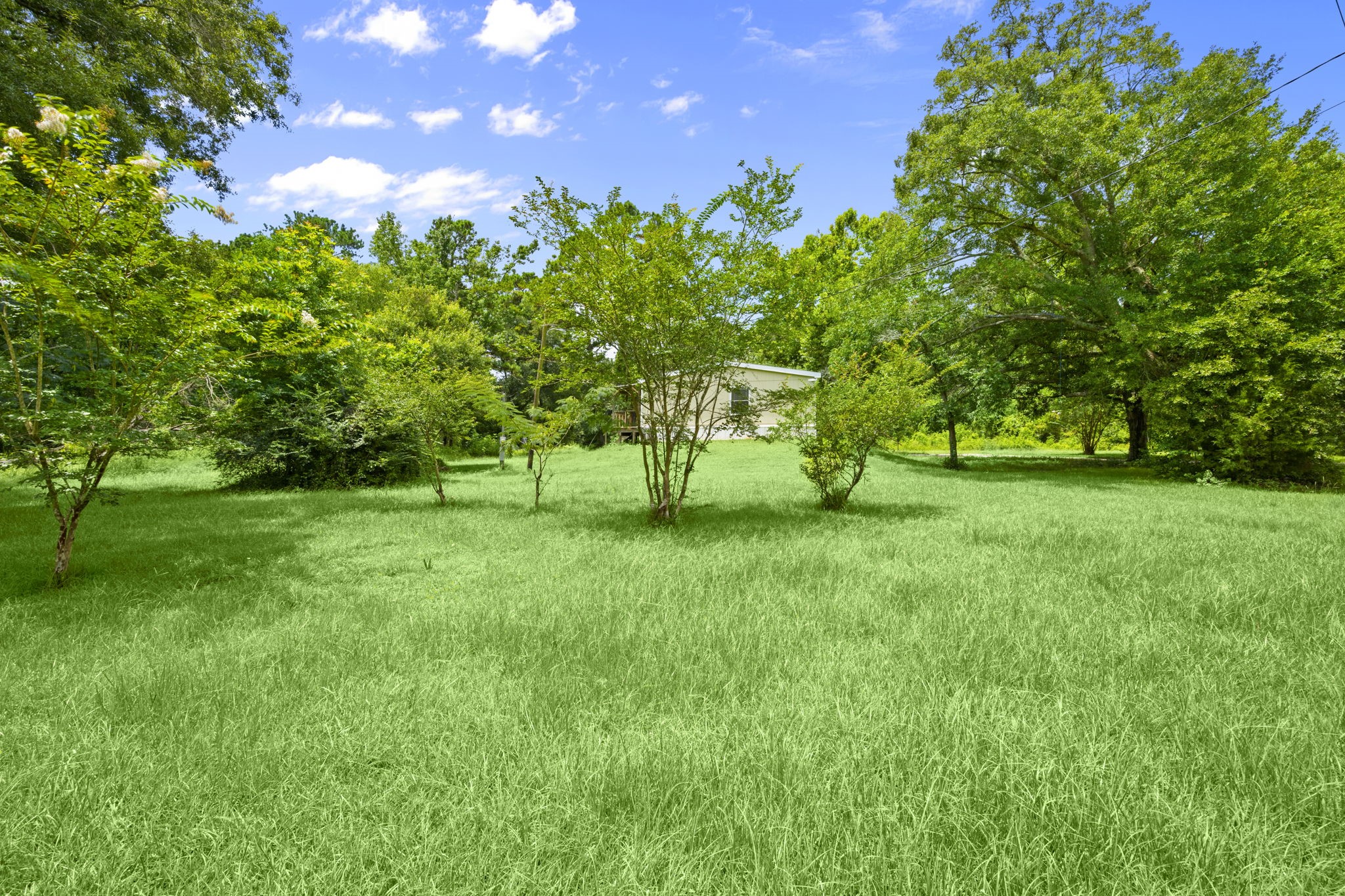 285 County Road 388 Cleveland, TX 77328 - Photo 3 of 23 a view of park with trees