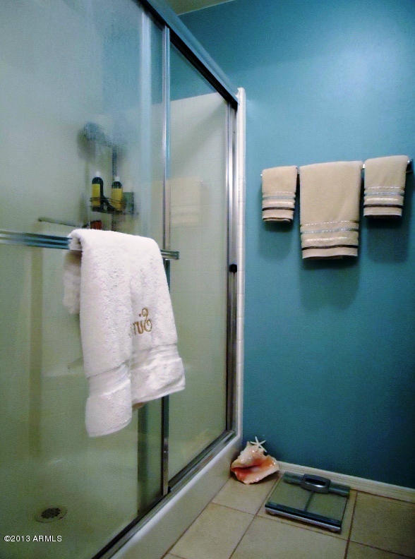 3250 West Greenway Road, Unit 151 Phoenix, AZ 85053 - Photo 9 of 17 Master Bath Shower