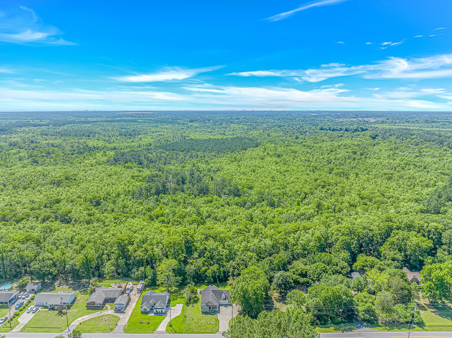 616 Highway 905 Conway, SC 29526 - Photo 4 of 40