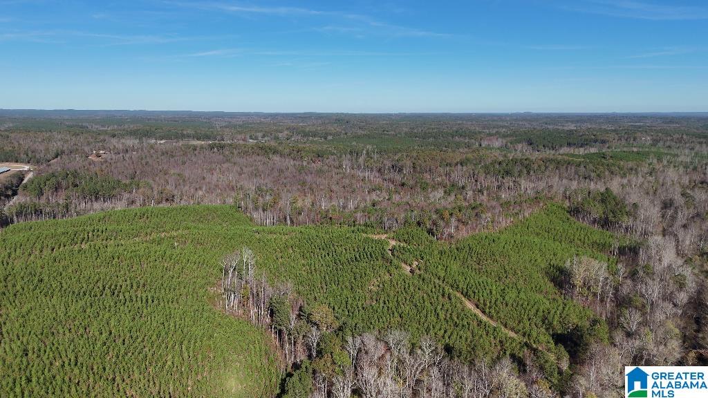 0 County Road 65 Fruithurst, AL 36262 - Photo 12 of 14
