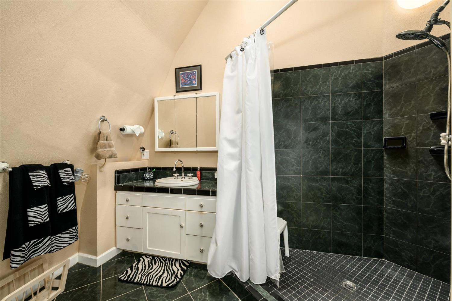1410 Sand Ridge Road El Dorado, CA 95623 - Photo 28 of 51 Primary bath