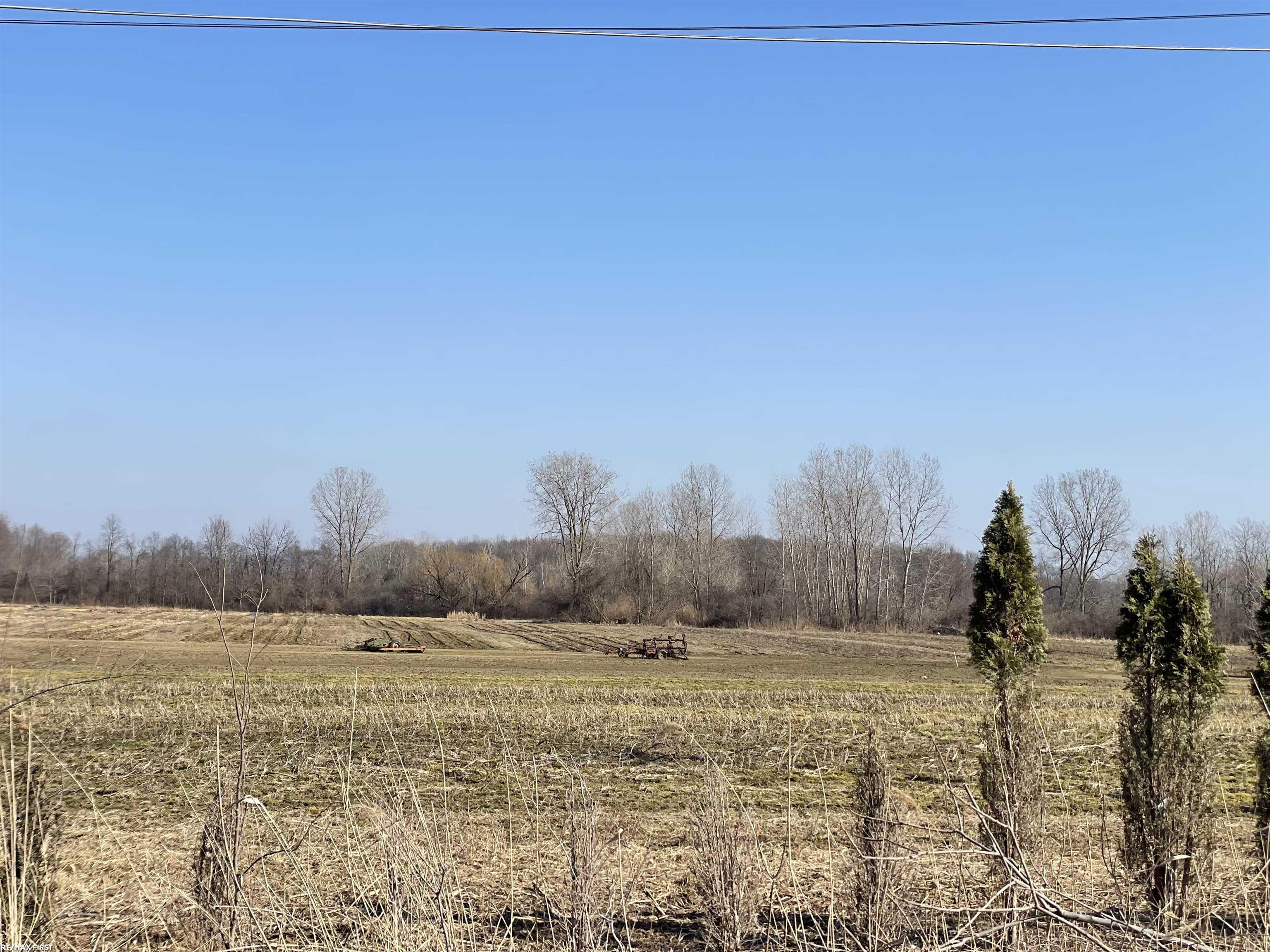 0 Wolcott Road Ray, MI 48096 - Photo 1 of 17