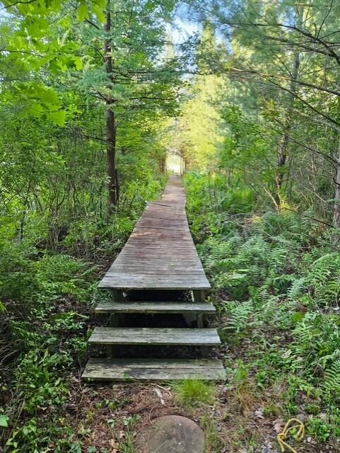 6325 Big Bay Road Bear Lake, MI 49614 - Photo 18 of 58 thumbnail_6639513989649699467