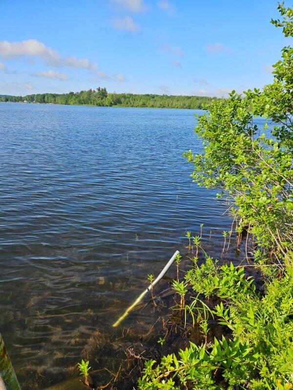 6325 Big Bay Road Bear Lake, MI 49614 - Photo 19 of 58 209542342