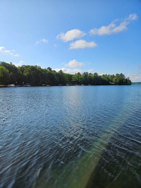 6325 Big Bay Road Bear Lake, MI 49614 - Photo 20 of 58 thumbnail_6780076778206950805