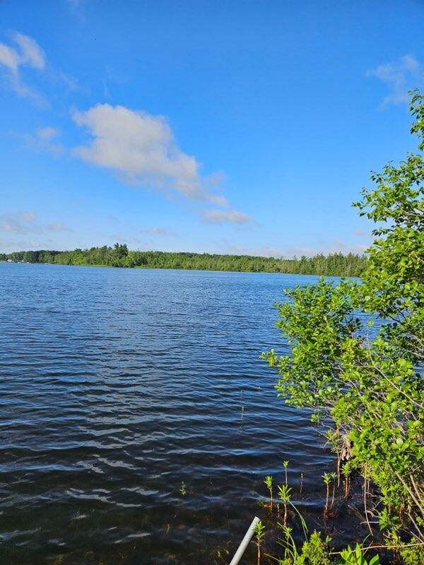 6325 Big Bay Road Bear Lake, MI 49614 - Photo 22 of 58 580505613