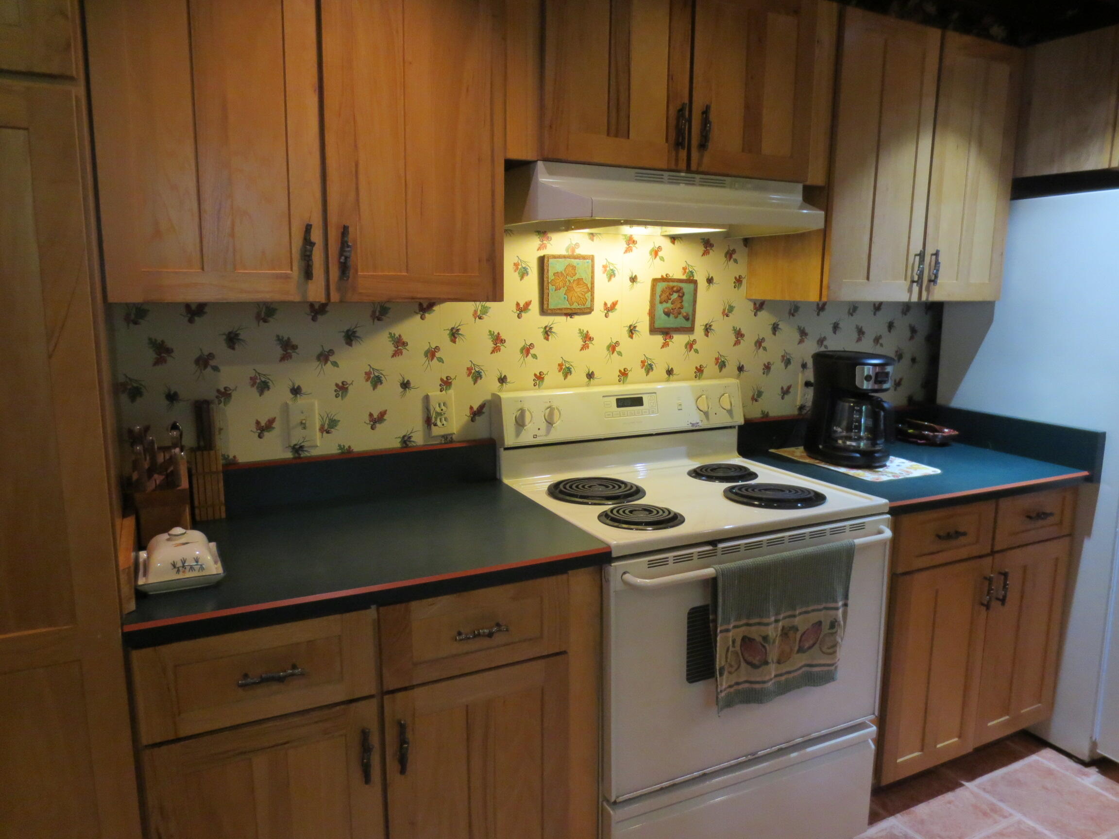 6325 Big Bay Road Bear Lake, MI 49614 - Photo 28 of 58 IMG_6910