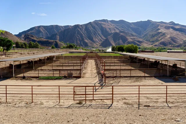 a view of a yard with plants
