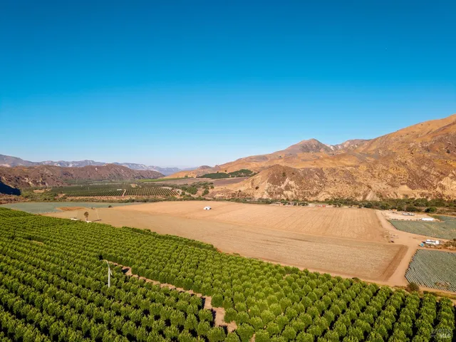 a view of an ocean beach