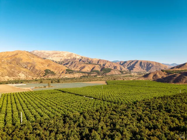 a view of a city with mountains in the background