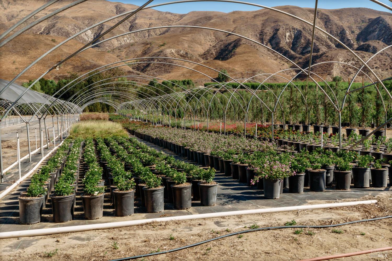 3800 Piru Canyon Road Piru, CA 93040 - Photo 43 of 65 a view of a building with a tree