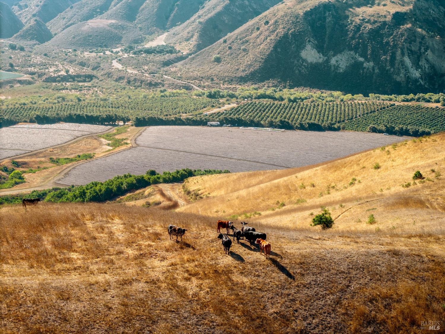 3800 Piru Canyon Road Piru, CA 93040 - Photo 46 of 65 a view of an ocean beach