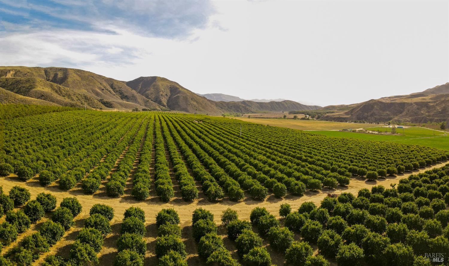 3800 Piru Canyon Road Piru, CA 93040 - Photo 49 of 65 a view of an aerial view of residential houses with outdoor space and trees