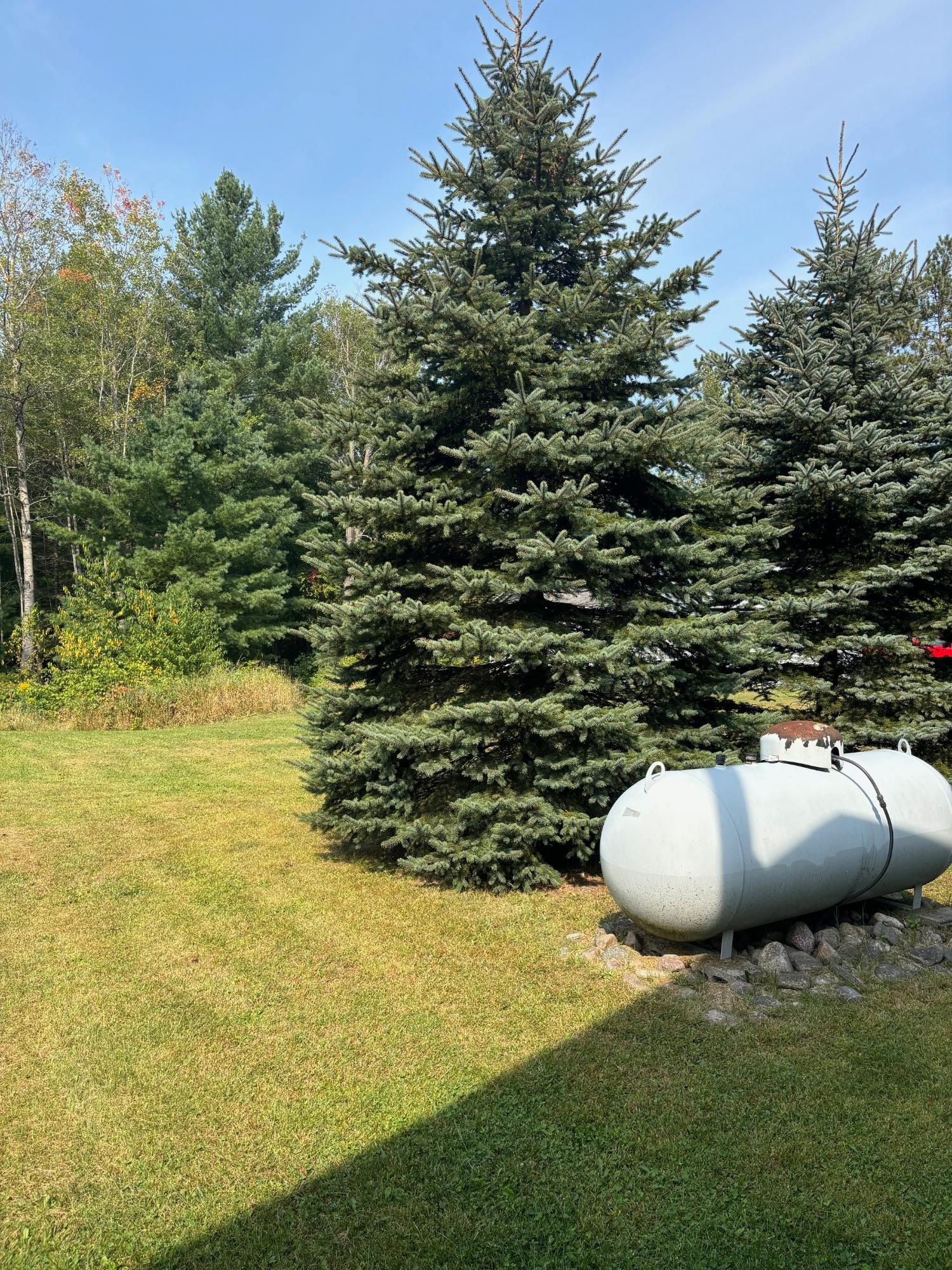 16909 Cth T Townsend, WI 54175 - Photo 28 of 36 Gallery Image 28