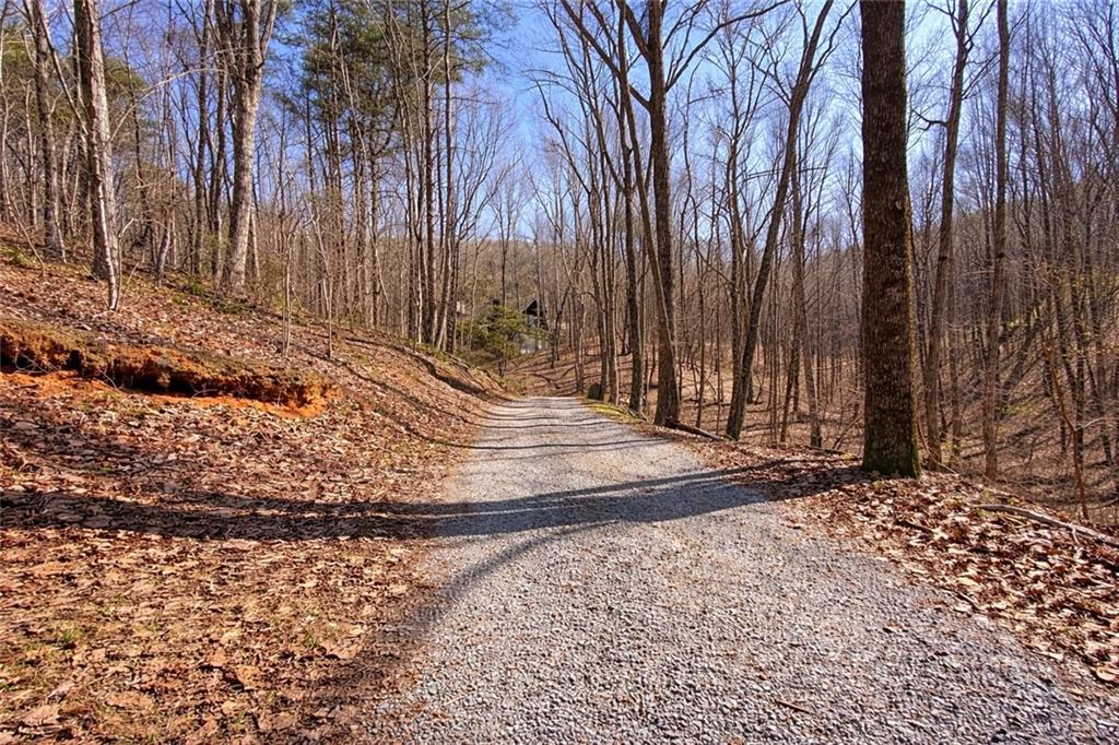 843 Fern Valley Road Ellijay, GA 30536 - Photo 50 of 72