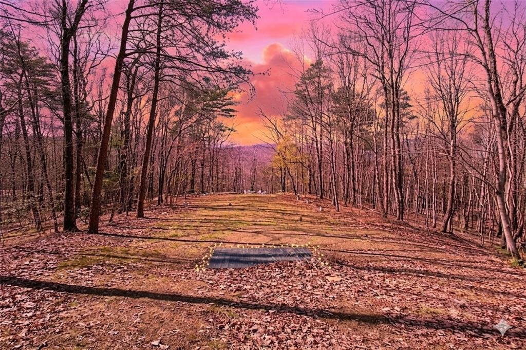 843 Fern Valley Road Ellijay, GA 30536 - Photo 57 of 72