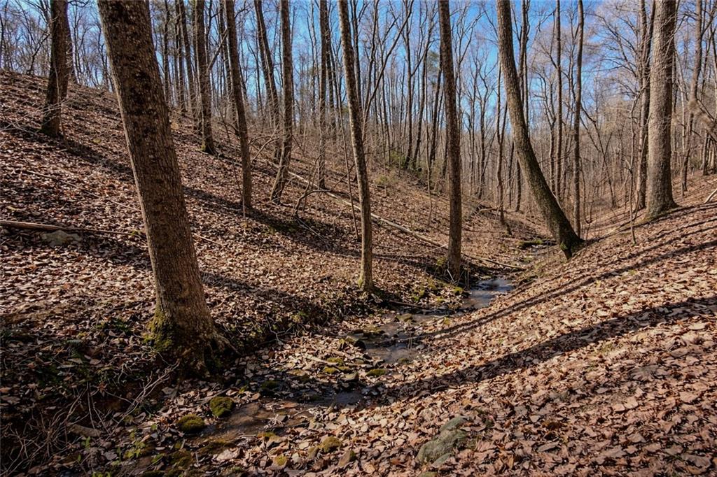 843 Fern Valley Road Ellijay, GA 30536 - Photo 58 of 72