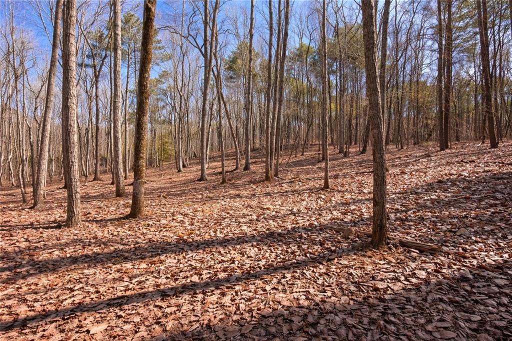 843 Fern Valley Road Ellijay, GA 30536 - Photo 59 of 72