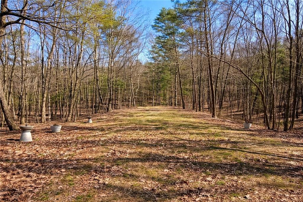 843 Fern Valley Road Ellijay, GA 30536 - Photo 60 of 72