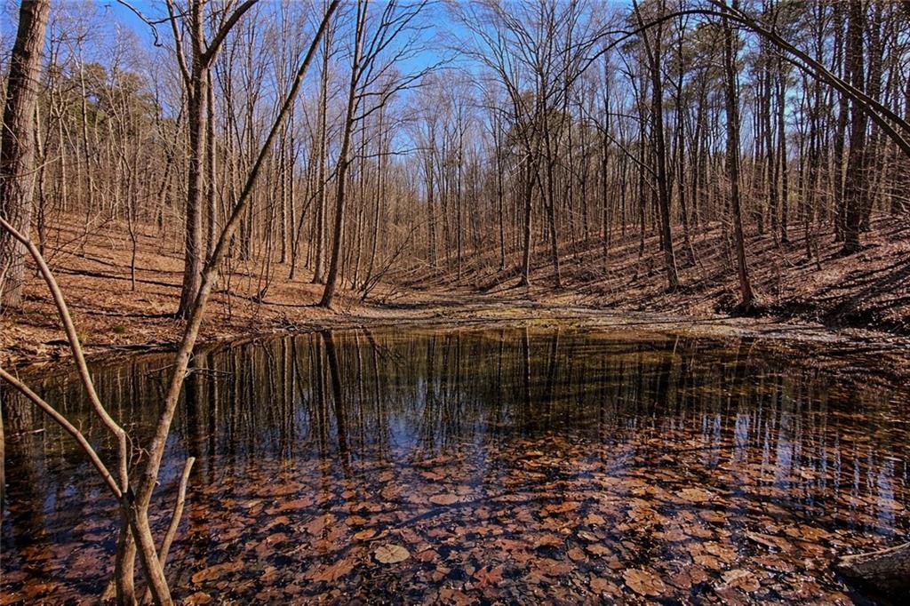 843 Fern Valley Road Ellijay, GA 30536 - Photo 6 of 72