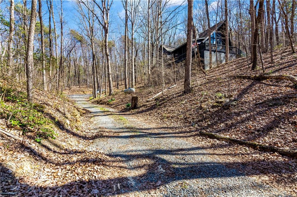 843 Fern Valley Road Ellijay, GA 30536 - Photo 64 of 72