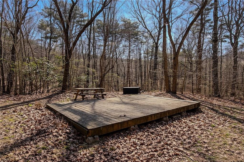 843 Fern Valley Road Ellijay, GA 30536 - Photo 68 of 72