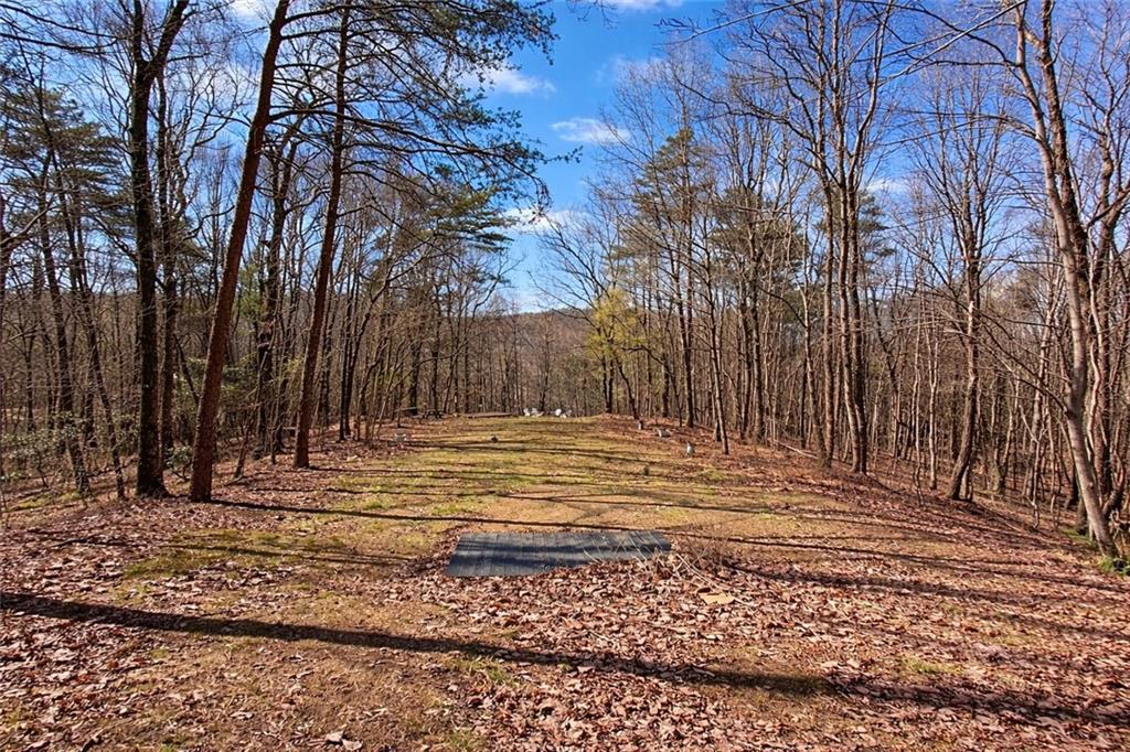 843 Fern Valley Road Ellijay, GA 30536 - Photo 8 of 72