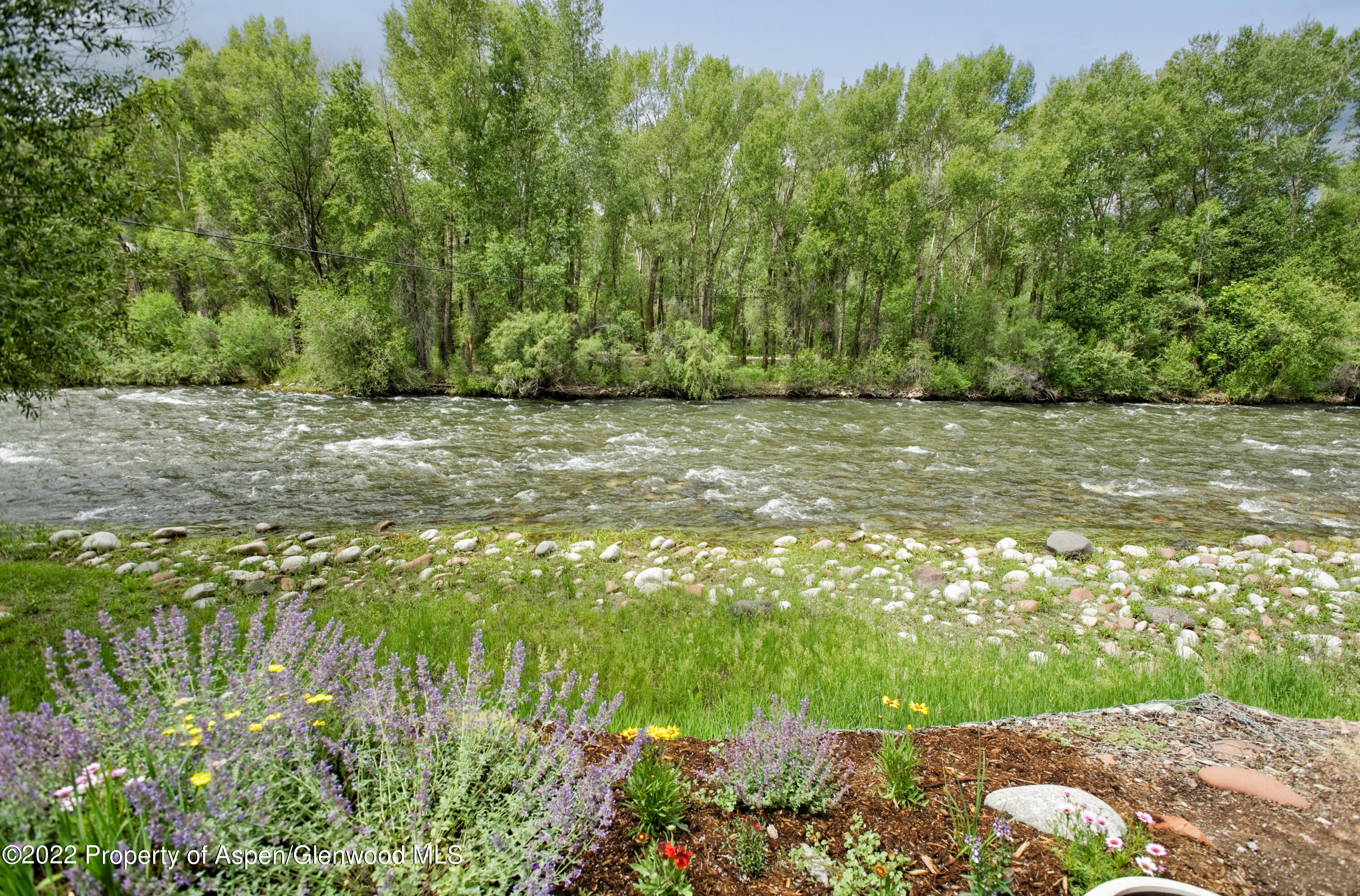 23272 2 Rivers Road, Unit 201 Basalt, CO 81621 - Photo 4 of 25 a view of yard with green space