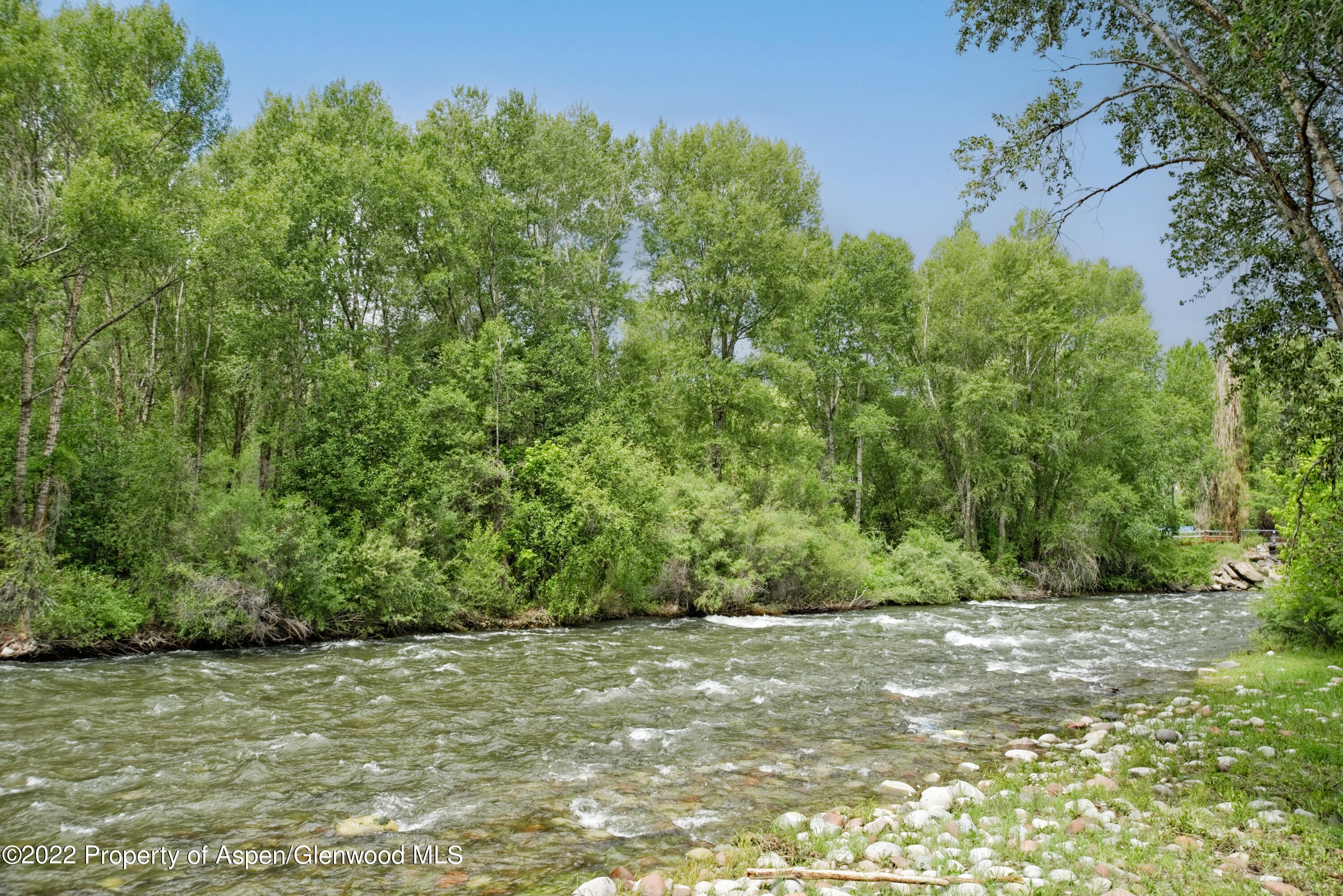 23272 2 Rivers Road, Unit 201 Basalt, CO 81621 - Photo 5 of 25 a view of a yard with a tree
