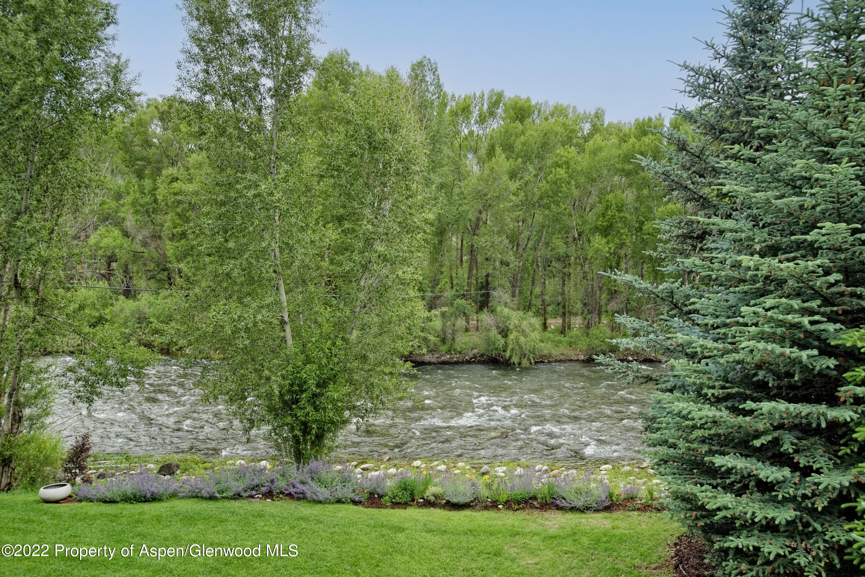 23272 2 Rivers Road, Unit 201 Basalt, CO 81621 - Photo 7 of 25 a view of a yard with a tree