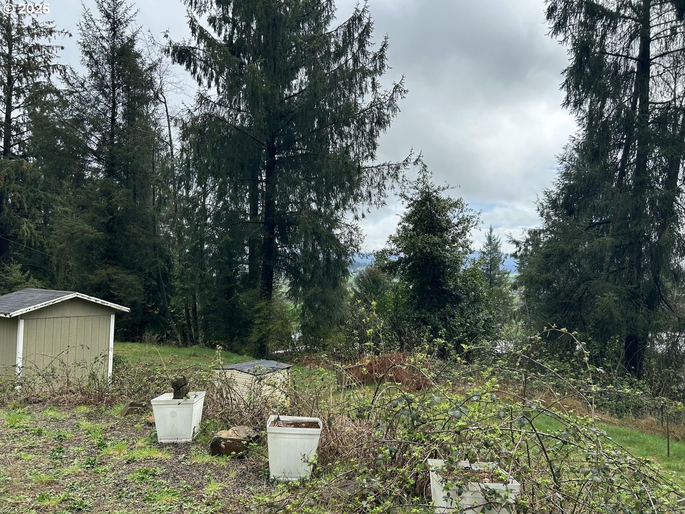 Aldercrest Road Tillamook, OR 97141 - Photo 12 of 13 Gallery Image 12