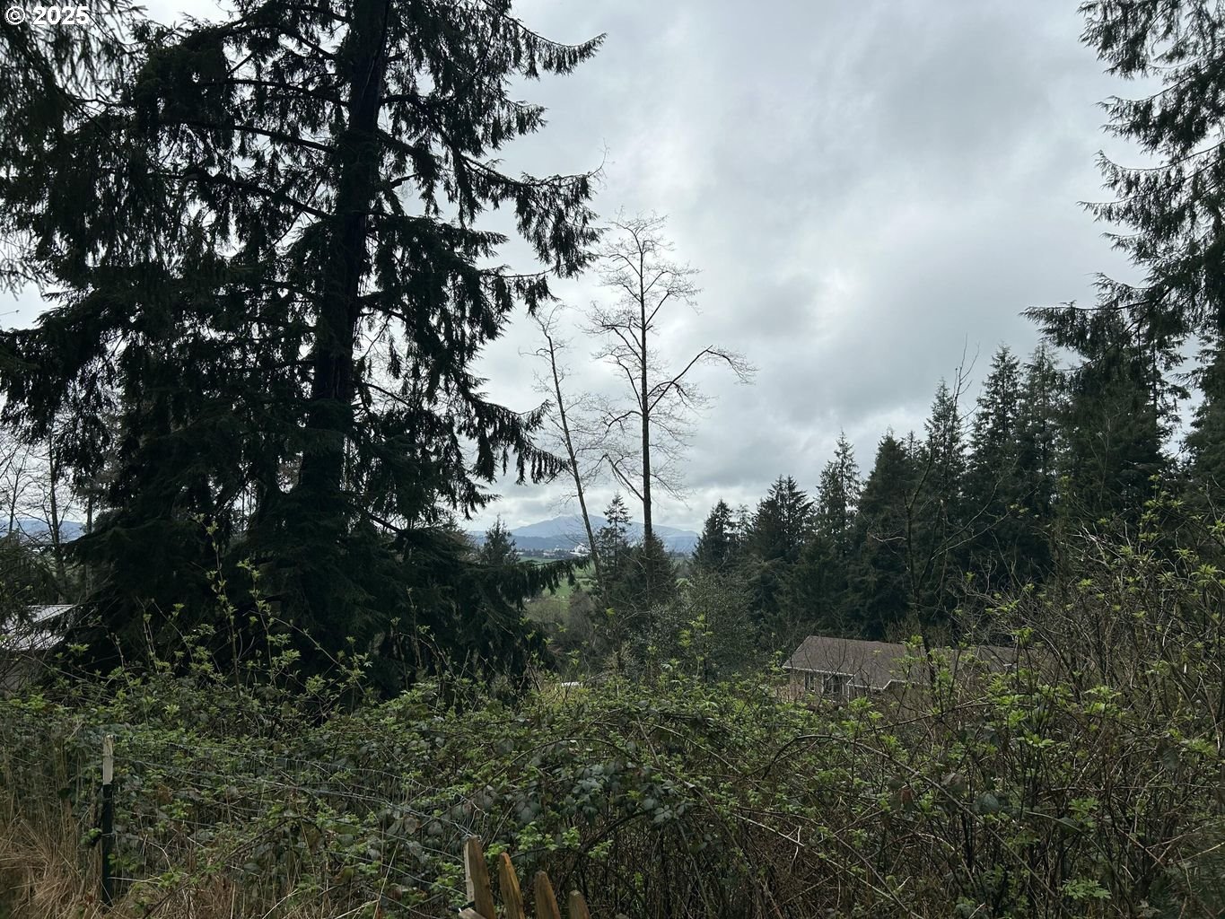 Aldercrest Road Tillamook, OR 97141 - Photo 7 of 13 Gallery Image 7